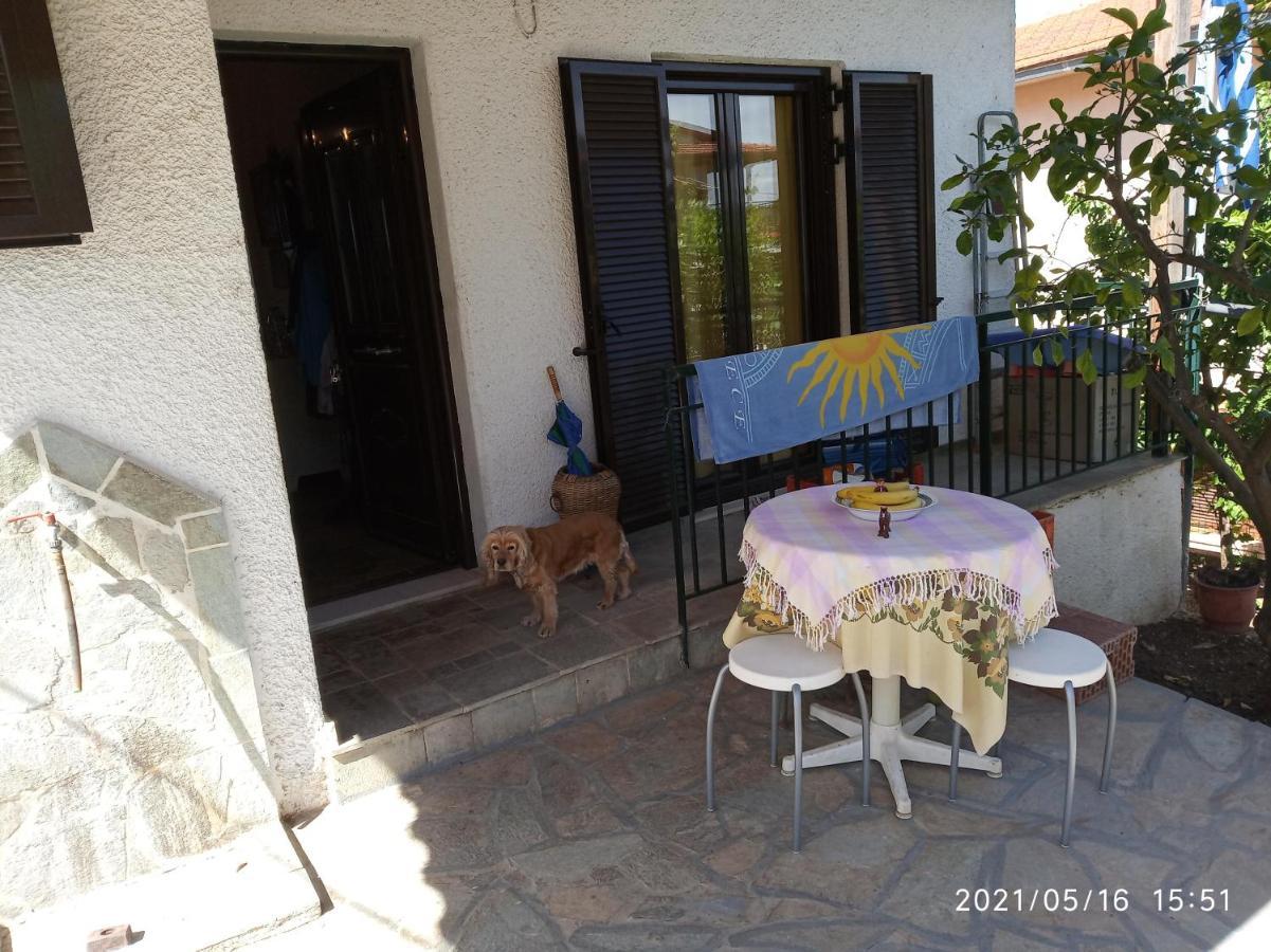 Villa Sea View Dilesi Dhílesi Esterno foto